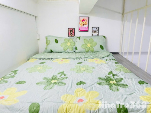 Cho thuê duplex siêu xinh trung tâm quận 3