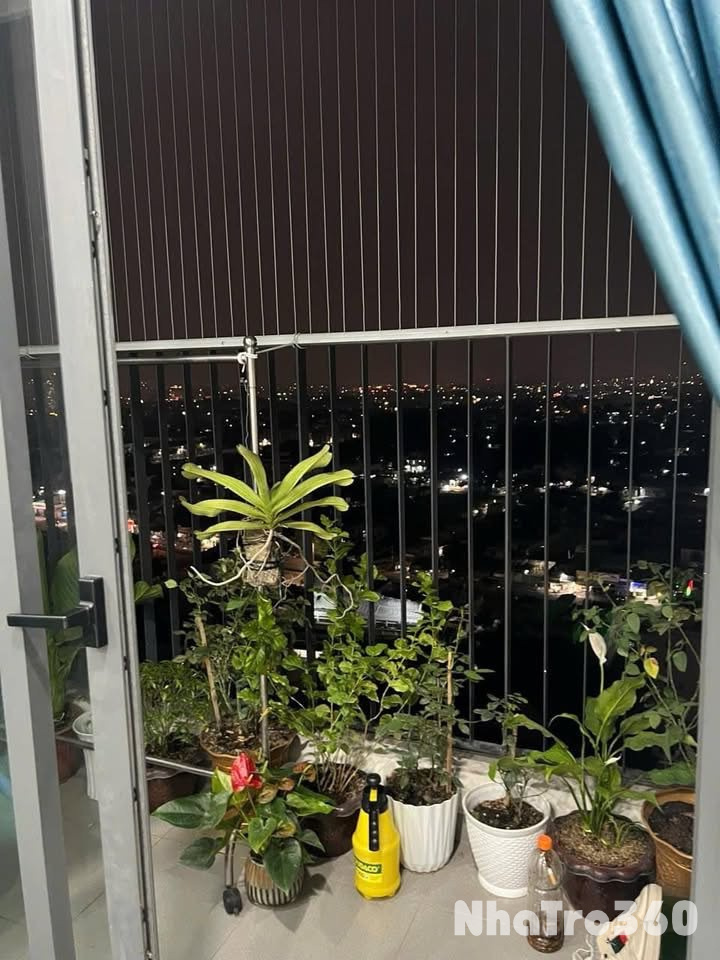 Cho thuê căn hộ giá tốt nhất t2 ngay Làng đại học