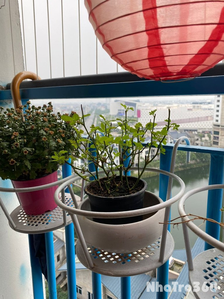 Cho thuê căn hộ 50m2 Khu vực Aeonmall Hà Đông