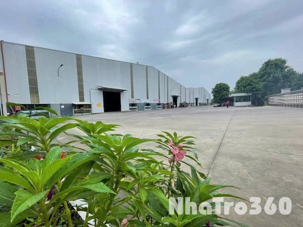 CHO THUÊ NHÀ XƯỞNG SẢN XUẤT 16.200M TÂN UYÊN BÌNH DƯƠNG