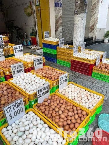 Do làm thêm việc khác không có thời gian ngồi bán cần hợp tác hoặc sang nhượng lại cửa hàng kinh doanh trứng gia cầm