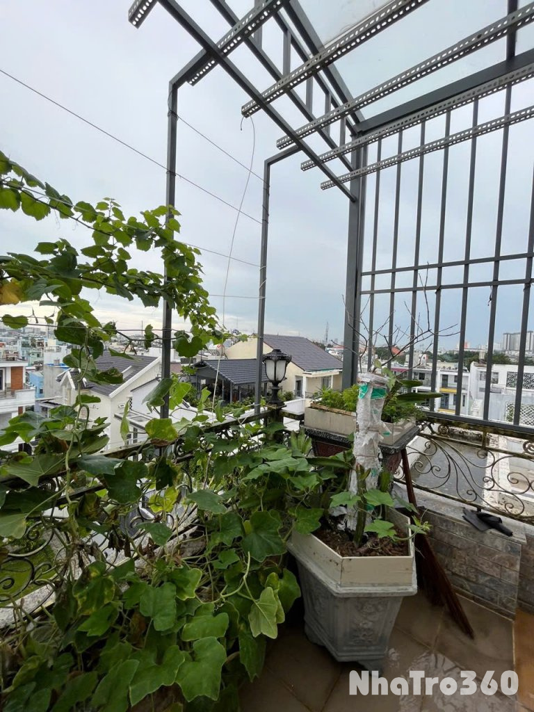 Cho thuê căn hộ Studio Ban công, tách bếp Q8 gần cầu Nhị Thiên Đường