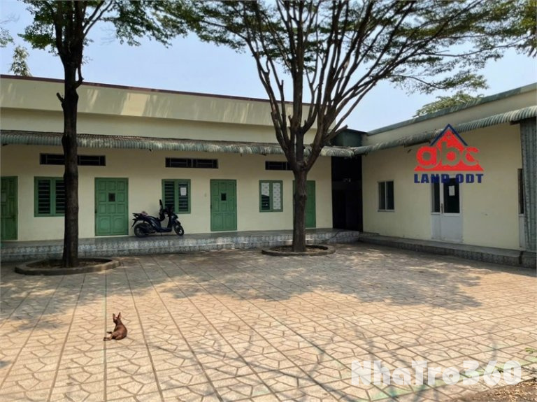 XT211 Cho thuê nhà xưởng lâu dài, đầy đủ công năng, khu văn phòng. điện trạm lớn