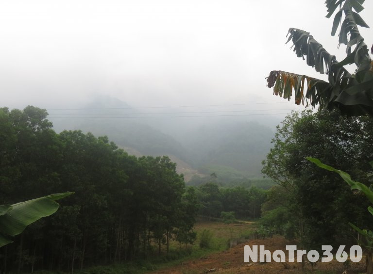CHO THUÊ 3 HA ĐẤT VƯỜN, BÃI (CHÍNH CHỦ) VỊ TRÍ NGAY ĐƯỜNG VÀNH ĐAI TAM ĐẢO- CHỈ 5TR/TH