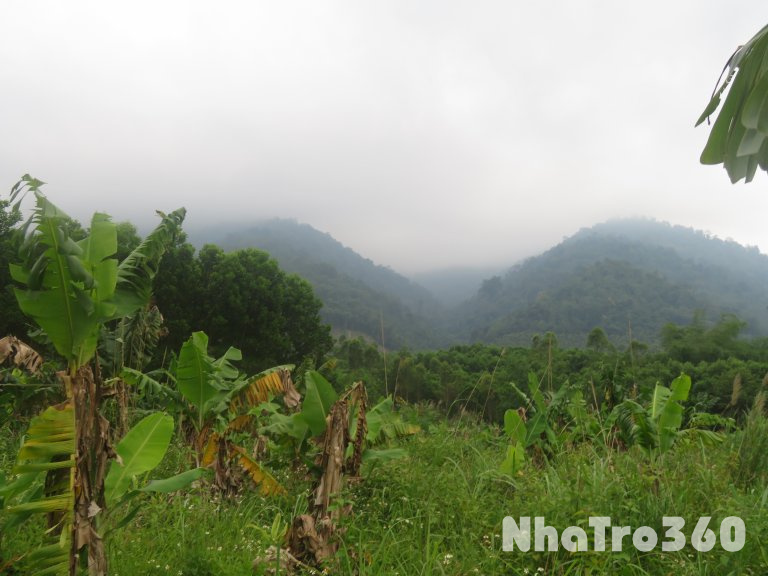 CHO THUÊ 3 HA ĐẤT VƯỜN, BÃI (CHÍNH CHỦ) VỊ TRÍ NGAY ĐƯỜNG VÀNH ĐAI TAM ĐẢO- CHỈ 5TR/TH