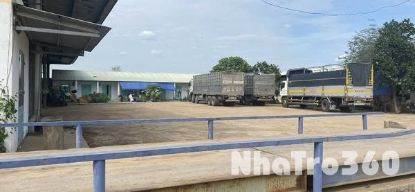 CHO THUÊ 10.000M NHÀ XƯỞNG SẢN XUẤT TẠI CHƠN THÀNH BÌNH PHƯỚC