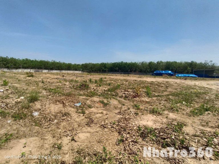 CHO THUÊ NHÀ XƯỞNG 7.600M SẢN XUẤT TẠI TÂN UYÊN BÌNH DƯƠNG