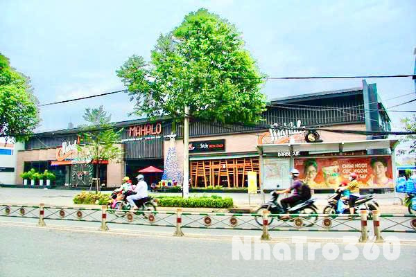 TÌM ĐỐI TÁC LÀM BÃI XE THÔNG MINH – THUÊ 5000m2 MT 97 QUANG TRUNG, P.8, GÒ VẤP. Giá 100K/m2