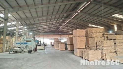 CHO THUÊ XƯỞNG TÂN VĨNH HIỆP – TÂN UYÊN – BÌNH DƯƠNG Diện tích đất: 6.000m²  Liên hệ ngay để xem xưởng: 0366.632.092 (Zalo/Call)