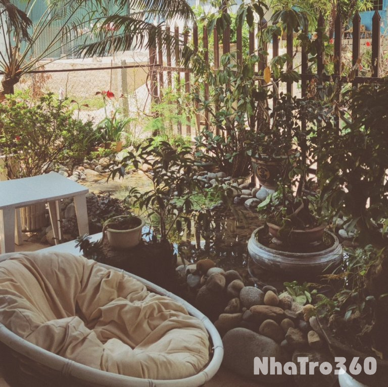 Phòng Đà Lạt-wc riêng,nuôi pet,giờ tự do,sân vườn