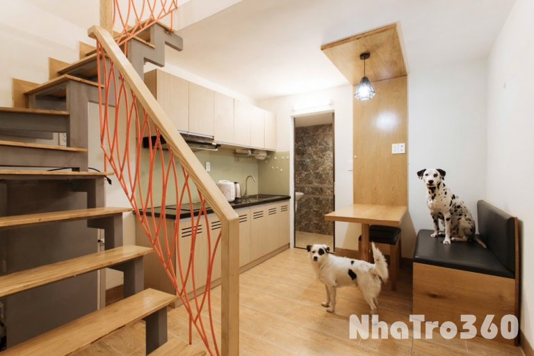 Căn hộ Duplex full nội thất CMT8 Quận 10