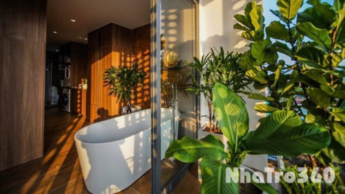 KHAI TRƯƠNG CĂN HỘ GẦN METRO NGAY TẠI QUẬN 1