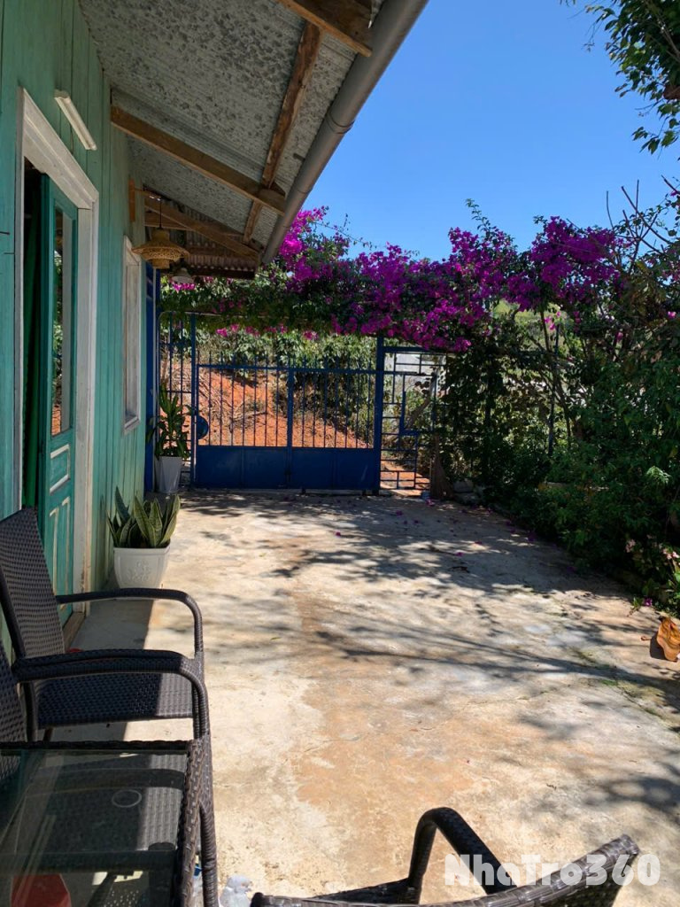 Chính Chủ Cho thuê nhà tại đường An Sơn, phường 4, thành phố Đà Lạt, Lâm Đồng