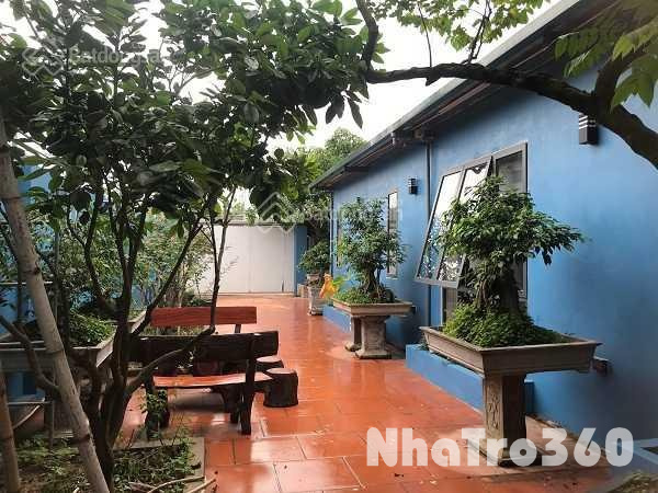 Cho thuê nhà vườn tại Đông La 520m2. 3PN, full đồ cao cấp, 15tr/tháng, gần Tố Hữu, gần công viên