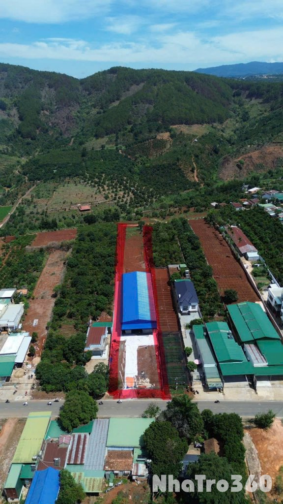 CHÍNH CHỦ CẦN CHO THUÊ KHO XƯỞNG TẠI GIA LÂM- LÂM HÀ- LÂM ĐỒNG