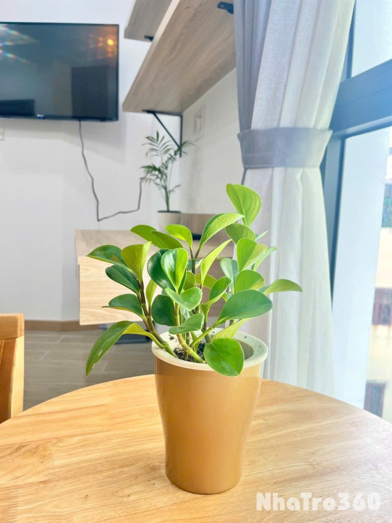 CĂN HỘ CỬA SỔ MẶT TIỀN ĐƯỜNG VÕ THỊ SÁU, QUẬN 3 GẦN CV LÊ VĂN TÁM, DINH ĐỘC LẬP,...