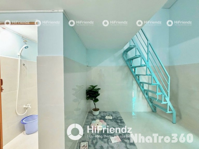 Nội thất cơ bản, gác cao, cửa sổ, free xe, tự do