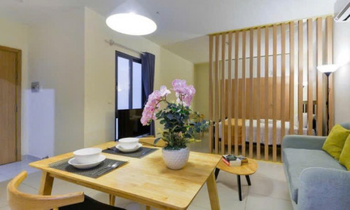 Cho Thuê Căn Hộ Studio Hiện Đại Ngay Trung Tâm Quận 1 - Đường Nguyễn Trãi