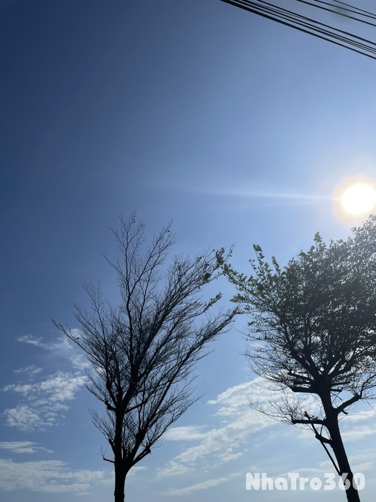 Tìm bạn ở ghép và phòng trọ