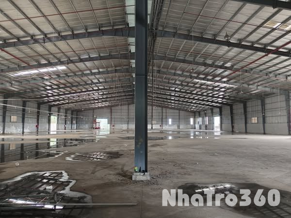 CHO THUÊ 6.000M 450 TRIỆU TÂN UYÊN BÌNH DƯƠNG