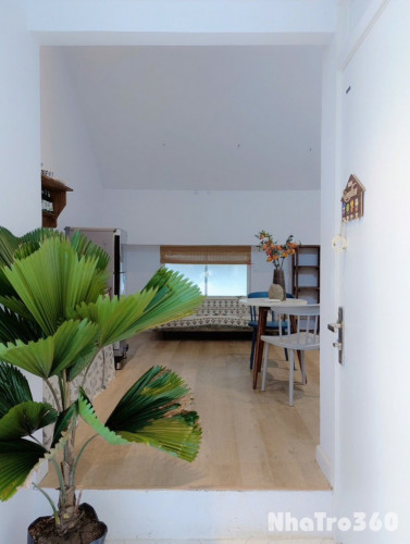 Căn hộ studio cửa sổ trời gần sân bay Tân Bình