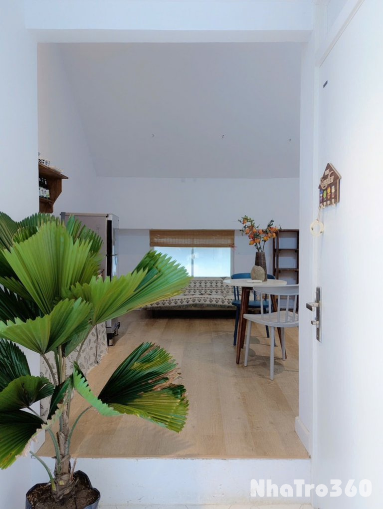 Căn hộ studio cửa sổ trời gần sân bay Tân Bình