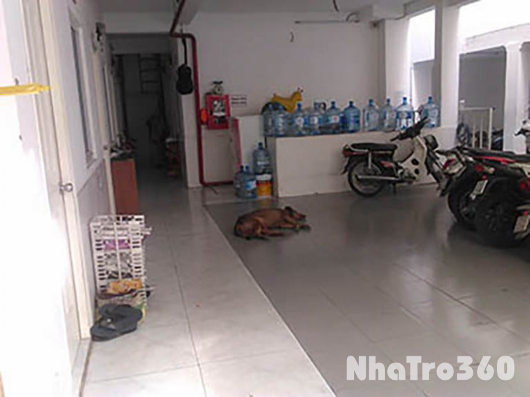 CHO THUÊ PHÒNG GIÁ RẺ CÓ HỆ THỐNG PCCC AN TOÀN TRUNG TÂM PHƯỜNG 3