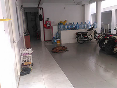 CHO THUÊ PHÒNG GIÁ RẺ CÓ HỆ THỐNG PCCC AN TOÀN TRUNG TÂM PHƯỜNG 3