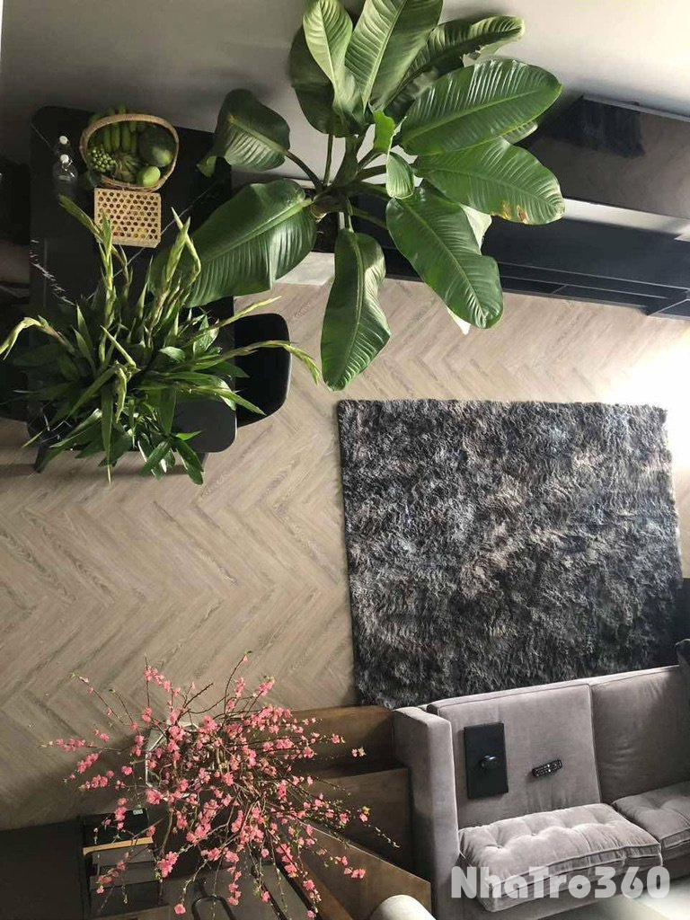 Căn Hộ Duplex Ban Công Full NT Sang Tại Quận 1