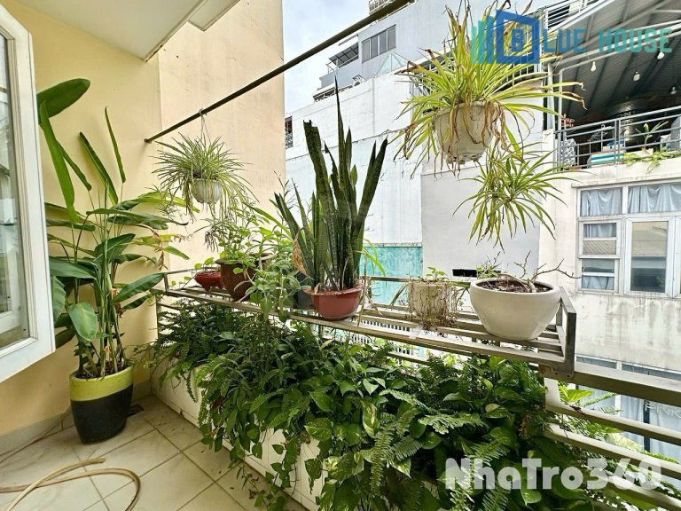 🏠 Căn hộ 1PN ban công tách bếp siêu thoáng mát