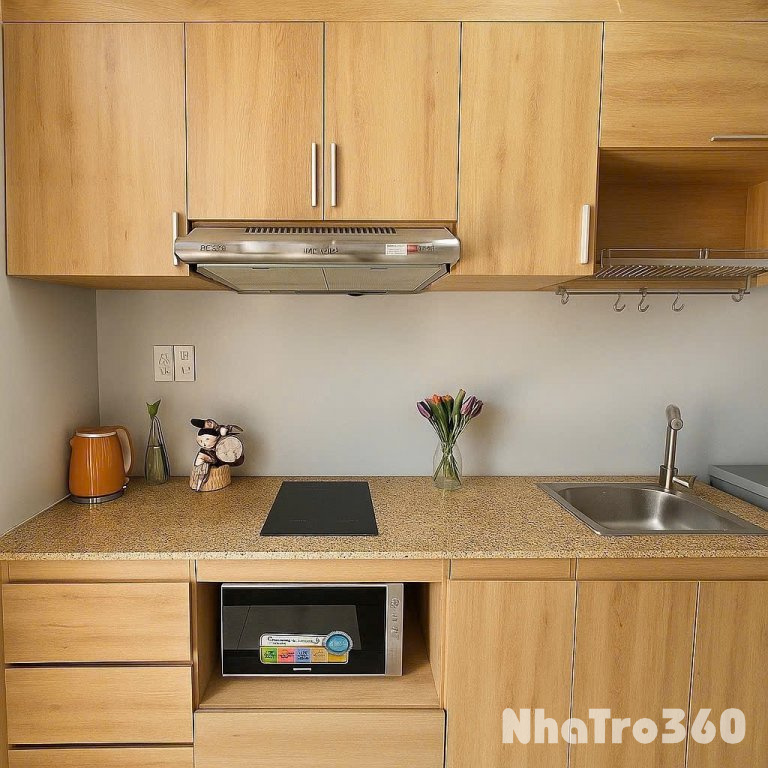 CHO THUÊ CĂN HỘ 1PN SÂN THƯỢNG LỚN QUẬN 1