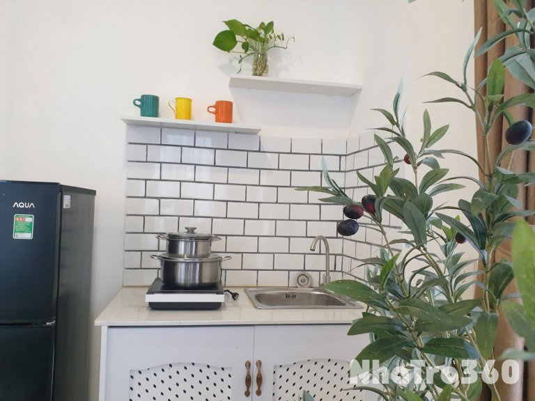 Cho thuê căn hộ Q1, đường Cống Quỳnh, gần Công Viên 23 Tháng 9, cầu Ông Lãnh, ĐH Văn Lang