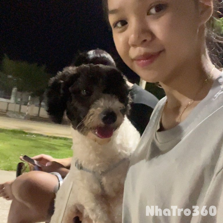 Cần tìm trọ ở bình thạnh