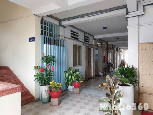 Cho Thuê Căn Hộ Chung Cư 1PN Quận 1 Giá Rẻ - Chính Chủ