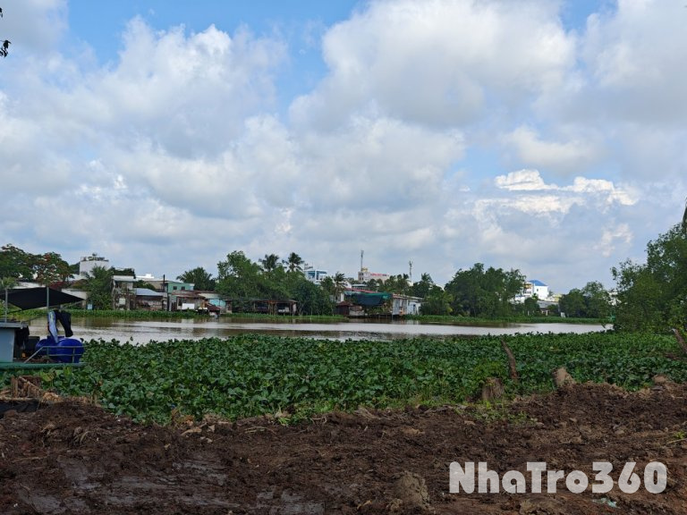 56. cho thuê đất 5 triệu 1200m2 gần cầu Cồn Khương 2 mặt lộ và sông