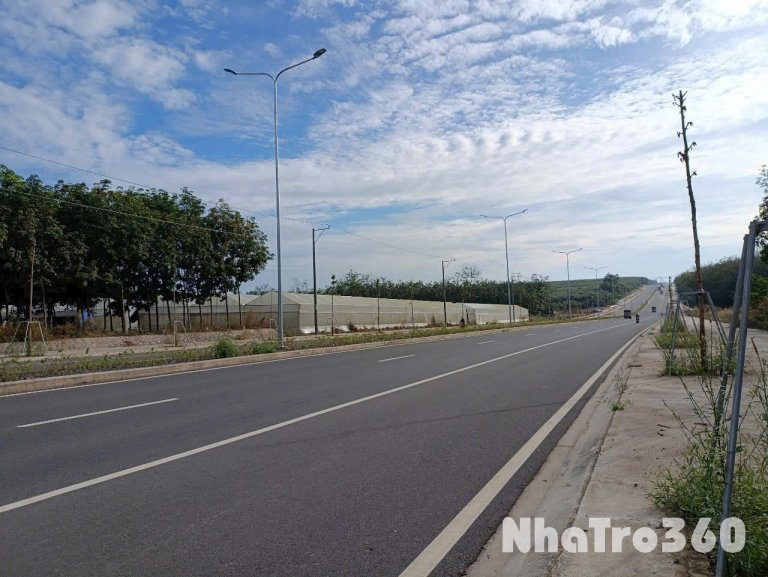 CHÍNH CHỦ CÓ 2 LÔ ĐẤT CẦN CHO THUÊ TẠI ĐƯỜNG TẠO LỰC, TÂN HIỆP, TÂN UYÊN, , PHÚ GIÁO, BẦU BÀNG