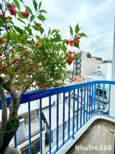 KHAI TRƯƠNG CĂN HỘ TÂN BÌNH