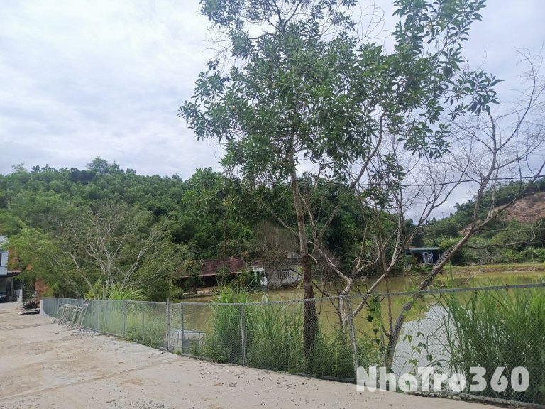 Chính chủ cho thuê đất 5.272m² (có 400m² thổ cư) tại xã Như Xuân, hỗ trợ cải tạo.