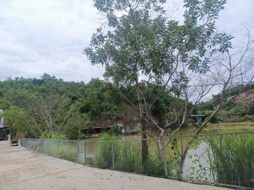 Chính chủ cho thuê đất 5.272m² (có 400m² thổ cư) tại xã Như Xuân, hỗ trợ cải tạo.