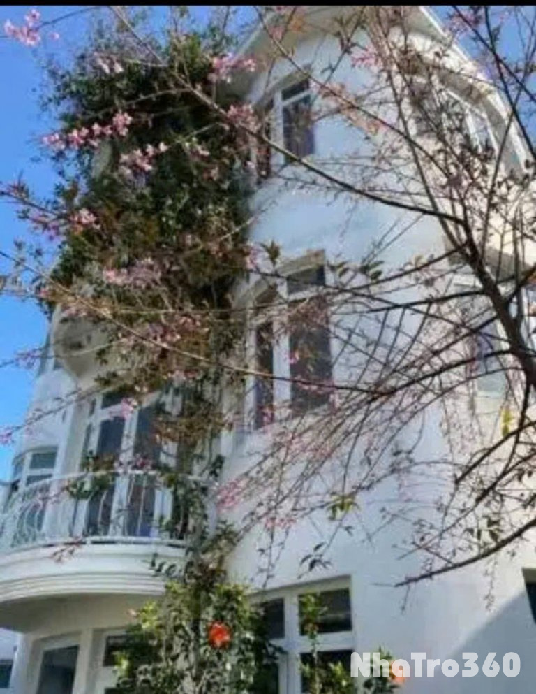 CHO THUÊ VILLA SÂN VƯỜN - CÔ GIANG PHƯỜNG 9 ĐÀ LẠT