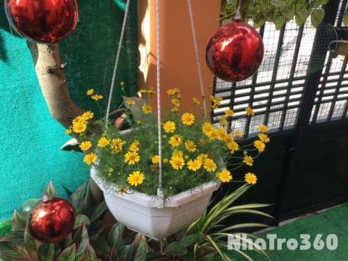 Cho thuê phòng 35 m tầng 1 giá 6 triệu/ tháng