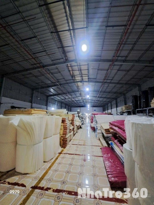 Cho Thuê Kho Xưởng 5.100m² Đường Tân Thới Hiệp 21, P. Tân Thới Hiệp, Q12 – Giá 310 Triệu/Tháng