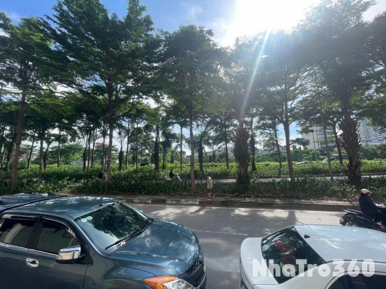 Chính chủ cho thuê nhà 446 Đường Bưởi, mặt đường 10m, 2 bên đều có vỉa hè to tràn ngập cây xanh