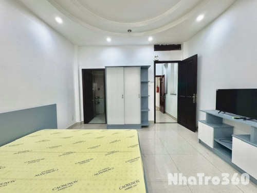 Cho thuê căn hộ 1PN Q1 full nội thất, cửa sổ