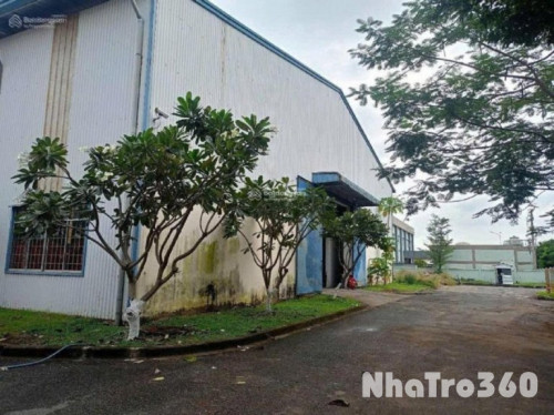 Xưởng cho thuê 1.360m² KCN Tân Bình Trần cao 9m, PCCC vách tường Giá siêu tốt 112.000đ/m²