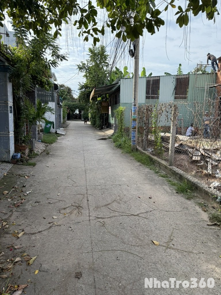 Cho thuê nhà nguyên căn phú hoà TDM Bình dương