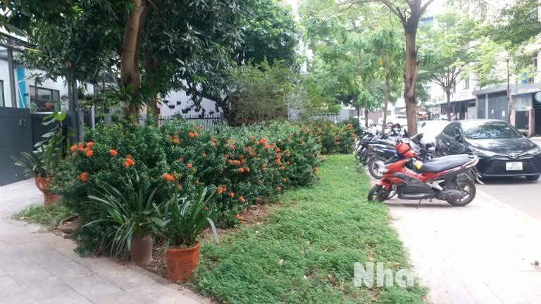 Cho thuê biệt thự 150m2 4 tầng gần Mỹ Đình, hoàn thiện đẹp, giá tốt