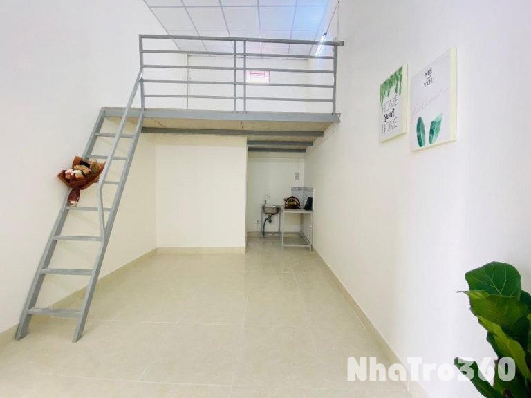 Hòa Bình, P.Tân Thới Hòa, Q.Tân Phú, HCM