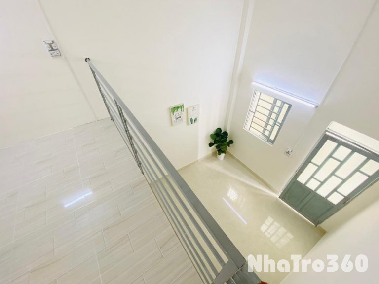 Hòa Bình, P.Tân Thới Hòa, Q.Tân Phú, HCM