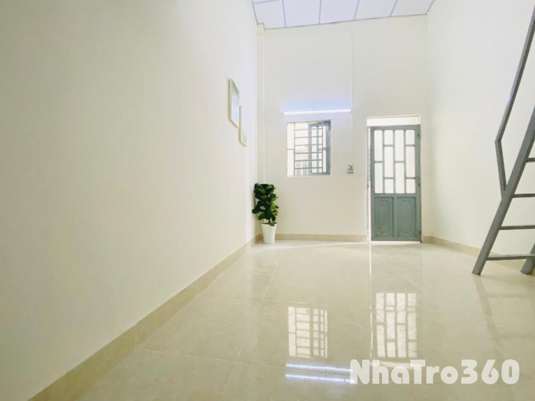 Hòa Bình, P.Tân Thới Hòa, Q.Tân Phú, HCM